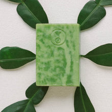 Avocado Soap Bar
